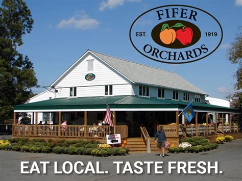 Fifer orchards - U-Pick Peaches at Fifer Orchards. Join us this Saturday, July 23rd to pick fresh peaches in our peach orchard. We Buy Farmland (302) 697-2141 | Camden-Wyoming, DE - Farm Store. Order lunch - Wyoming. 302-227-8680 | Dewey Beach, DE - Beach Store. Order online - Dewey Beach. Our Story. History.